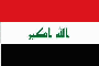 Flag IRQ